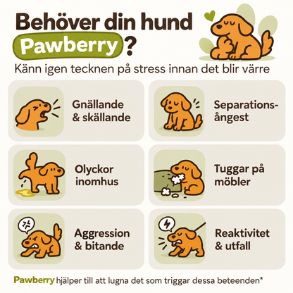 Pawberry Lugnande Doftavgivare för Hund